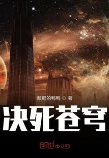 三少爷的笨婢