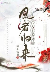 全职法师之我是莫凡的弟弟