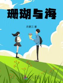 云翼之巅