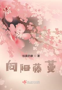 职业咸鱼