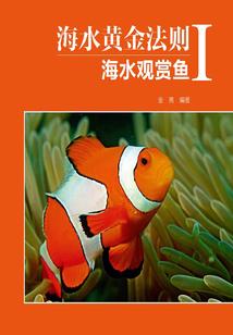 那九年