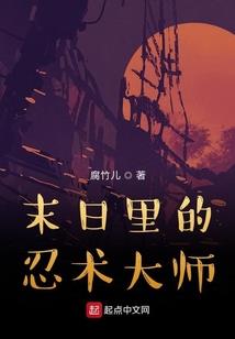 侠盗张三叔