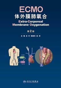 神命，剑龙同携