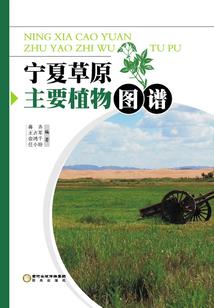 末世疯狂