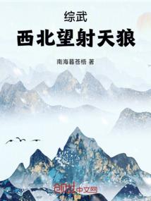 冰山老公小萌妻
