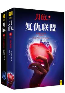 大带入系统