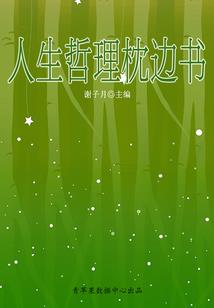 宫外夺宠：王爷，请入赘！