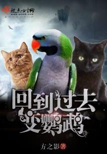 算命低手在都市
