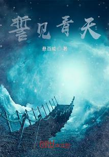 执命师之旅