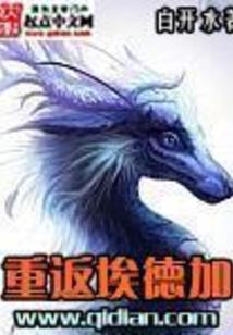 宝可梦：小智的完美开局