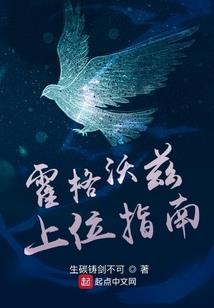 武侠之冒牌教主