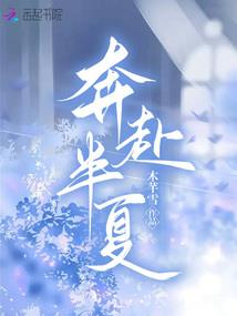 明末大将军
