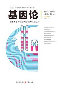 不败顽猴