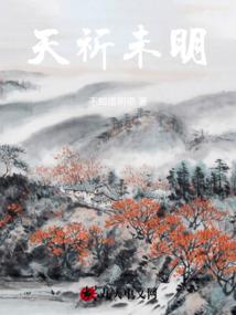 铠甲勇士之光影
