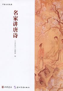 绝世杀手：逆天白痴二小姐