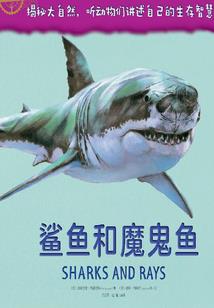樱树下的爱恋