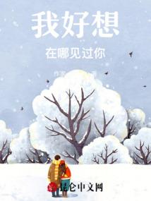 涅屠传记