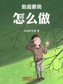 羽翼的祈愿