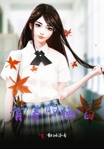断西游