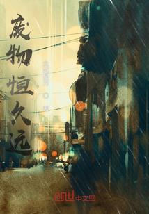 大宋花帅