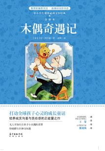 小说家的世界