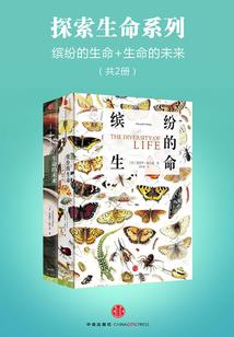 砺剑仙传