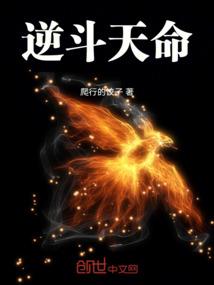 重生之豪门淑女