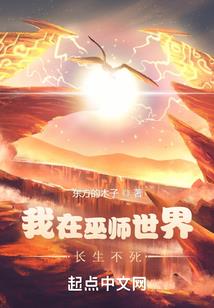 神之双翼