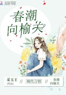 三足金乌的珍宝阁