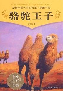 神魂