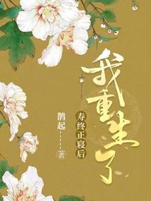 茅山后裔之茅山术