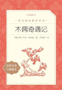 我的女婿是大神