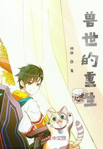 清城故事