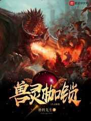 夕阳西下，星尘余晖