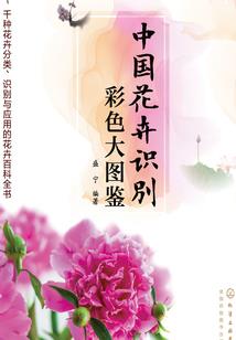 完美逍遙