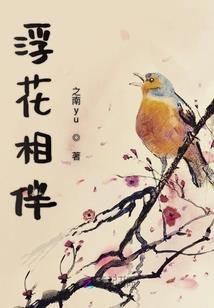 断琴情未了