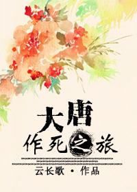 迪克南舰队