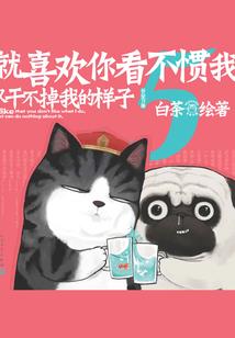 海贼的奇幻漂流