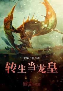 飞雪九华阙