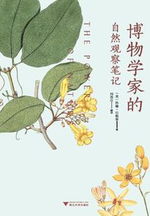 我无法停止爱你