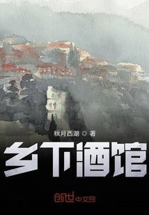 神奇宝贝之凤凰涅盘