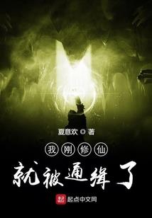 龙起神荒