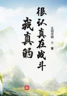 综漫之仓叶晨