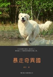 圣种纪元