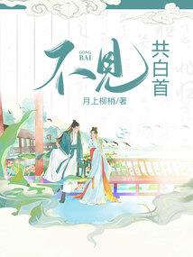 极盗王朝