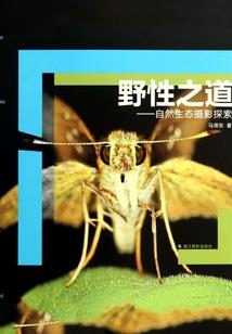 战神联盟之域界血神
