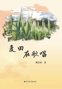 酆都鬼城之半夜开工