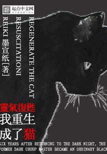 老房故事