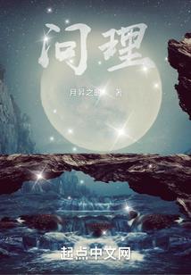 风沉月引