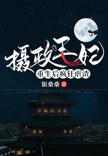 王牌主帅